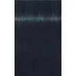 IG_RTO_LucidNocturnes_4_332_LR.jpg