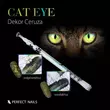 PN - Cat Eye Decor Pen - Gél Lakk Mágnes Dekor Ceruza
