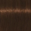 Igora Royal Absolutes Age Blend 7-460 krémhajfesték, 60ml