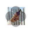 CND Vinylux Verbena Velvet #388, 15 ml