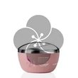 Semi di Lino Moisture Kit