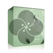 Semi di Lino Scalp Renew Kit