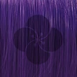 Londacolor Color Switch Violet 80ml