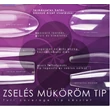 PN - Full Coverage Zselés Műköröm Tip Készlet - Oval Short