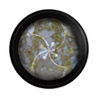 PN - Körömdíszítő Glitter - Multisize - Unique #5