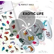 PN - Körömmatrica - Exotic Life