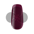 PN - LacGel 4ml #010 - Fuchsia