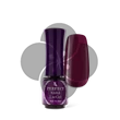 PN - LacGel 4ml #010 - Fuchsia