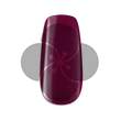 PN - LacGel+ 4ml #117 Freddie - Rockstar