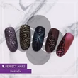 PN - Cat Eye Black Magnet Stick - Gél Lakk Mágnes