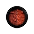 PN - Thermo por- Tégla / Neon Naracs