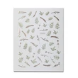 Körömmatrica - Basic Leaves