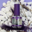 PN - Körömágy Ápoló Olaj - Cuticle Oil - Euphoria 4ml