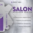 PN - Műköröm Sablon - Salon 50db