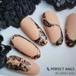 PN - Transzferfólia - Black Lace 01
