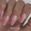 PN - PolyAcryl Gel Prime - Tubusos Polygel - Cover Dark 30g **