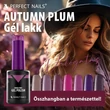 PN - HEMA FREE Gél Lakk - Eggplant - 4ml