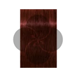 Igora Royal 5-88 krémhajfesték, 60ml