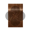 Igora Royal Absolutes Age Blend 7-560 krémhajfesték, 60ml