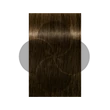 Igora Royal 5-5 krémhajfesték, 60ml