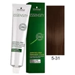 Essensity 5-31 ammóniamentes tartós krémhajfesték, 60 ml