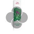 Color Fresh Create színező Neverseen Green 60ml