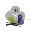 Wella Color Motion+ sampon festett hajra