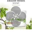 Wella Elements Renewing