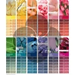 Color Fresh Create színező NeWella Blue 60ml