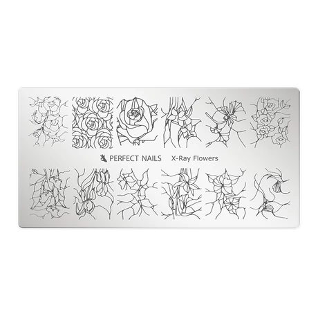 Körömnyomda Lemez - X Ray Flowers