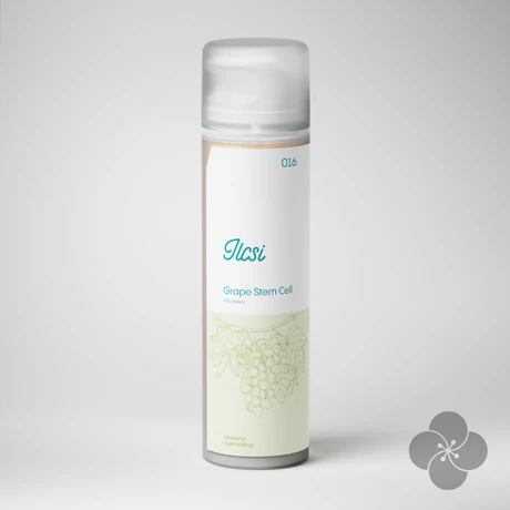 Szőlő Őssejtes arctej 200 ml