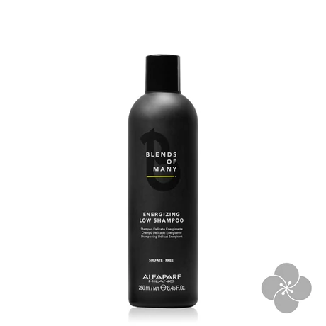 Blends of Many Rebalancing Low sampon - 250 ml