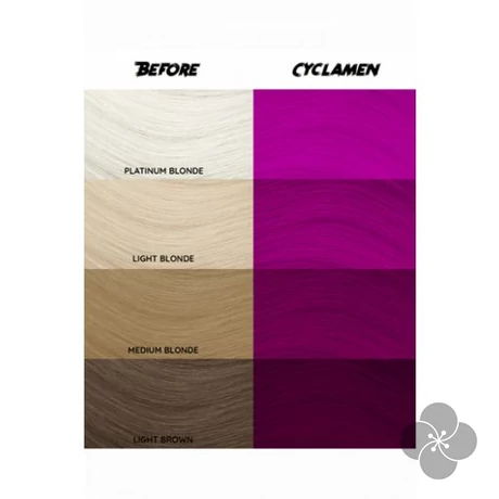 Crazy Color Cyclamen, 100 ml