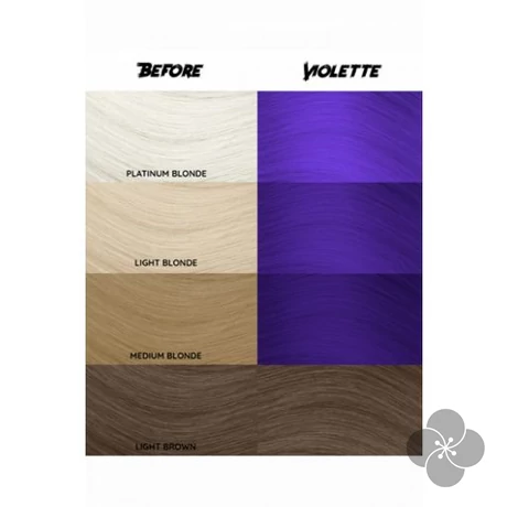Crazy Color Violette, 100 ml