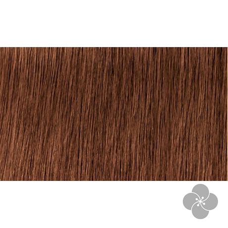INDOLA PCC tartós hajfesték 6.34, 60ml