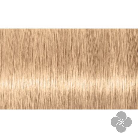 INDOLA PCC Blond Expert - szőke árnyalatok tartós hajfesték 1000.18, 60ml