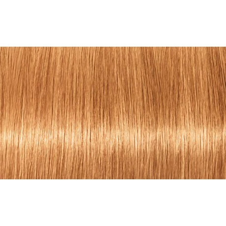 INDOLA PCC Blond Expert - pasztell árnyalatok tartós hajfesték P.14, 60ml