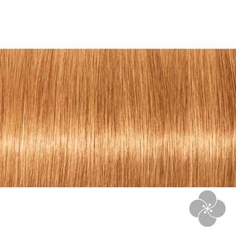 INDOLA PCC Blond Expert - pasztell árnyalatok tartós hajfesték P.14, 60ml