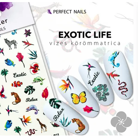 PN - Körömmatrica - Exotic Life