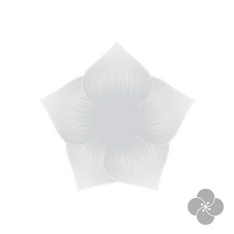 PN - Akrilfesték-001-fehér