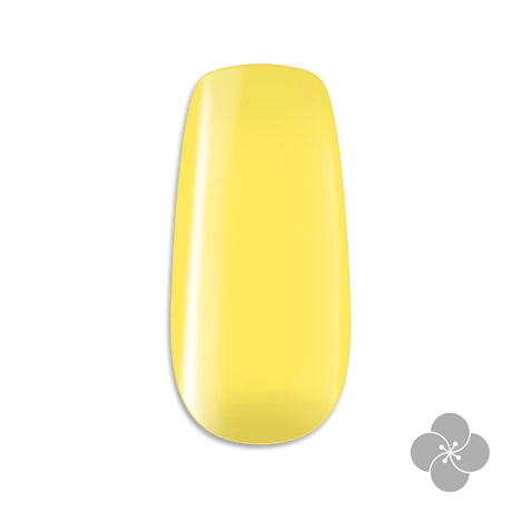 PN - Zselé #203