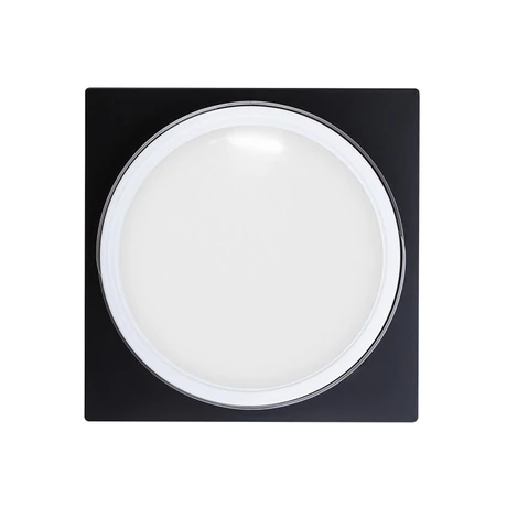 PN - Art Gel - Műköröm Díszítő Színes Zselé - White