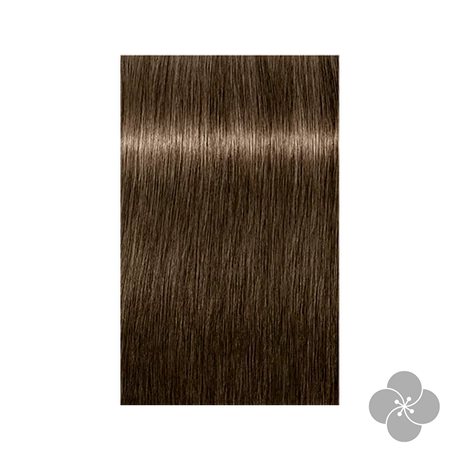 Igora Royal Nude 6-46 krémhajfesték, 60ml