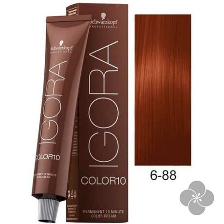 IGORA Color10 6-88 krémhajfesték 10 perc hatóidővel, 60 ml
